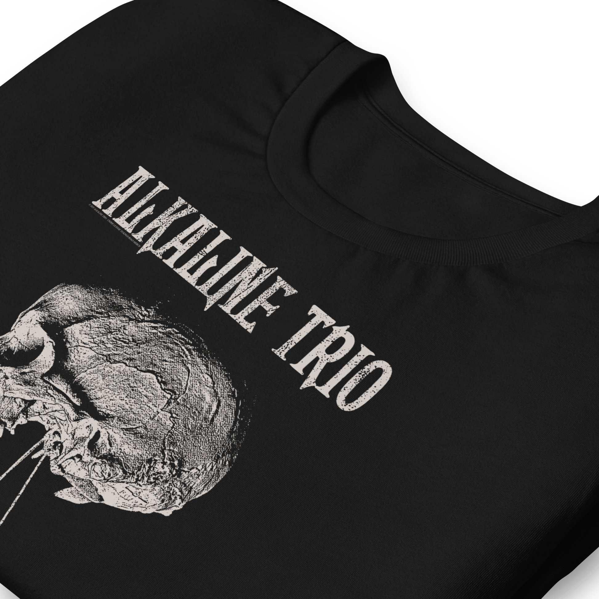 Alkaline Trio Alkaline Trio - Roses Blooming T-Shirt