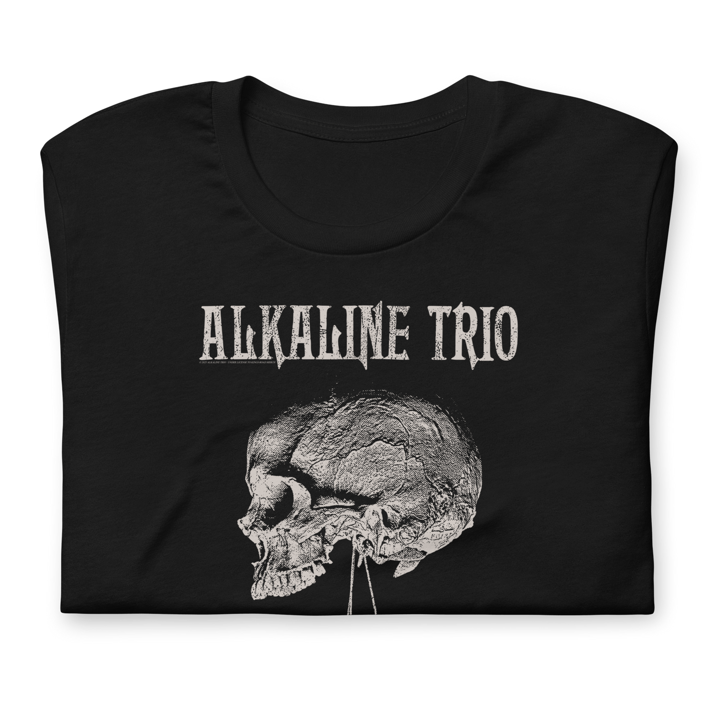Alkaline Trio Alkaline Trio - Roses Blooming T-Shirt