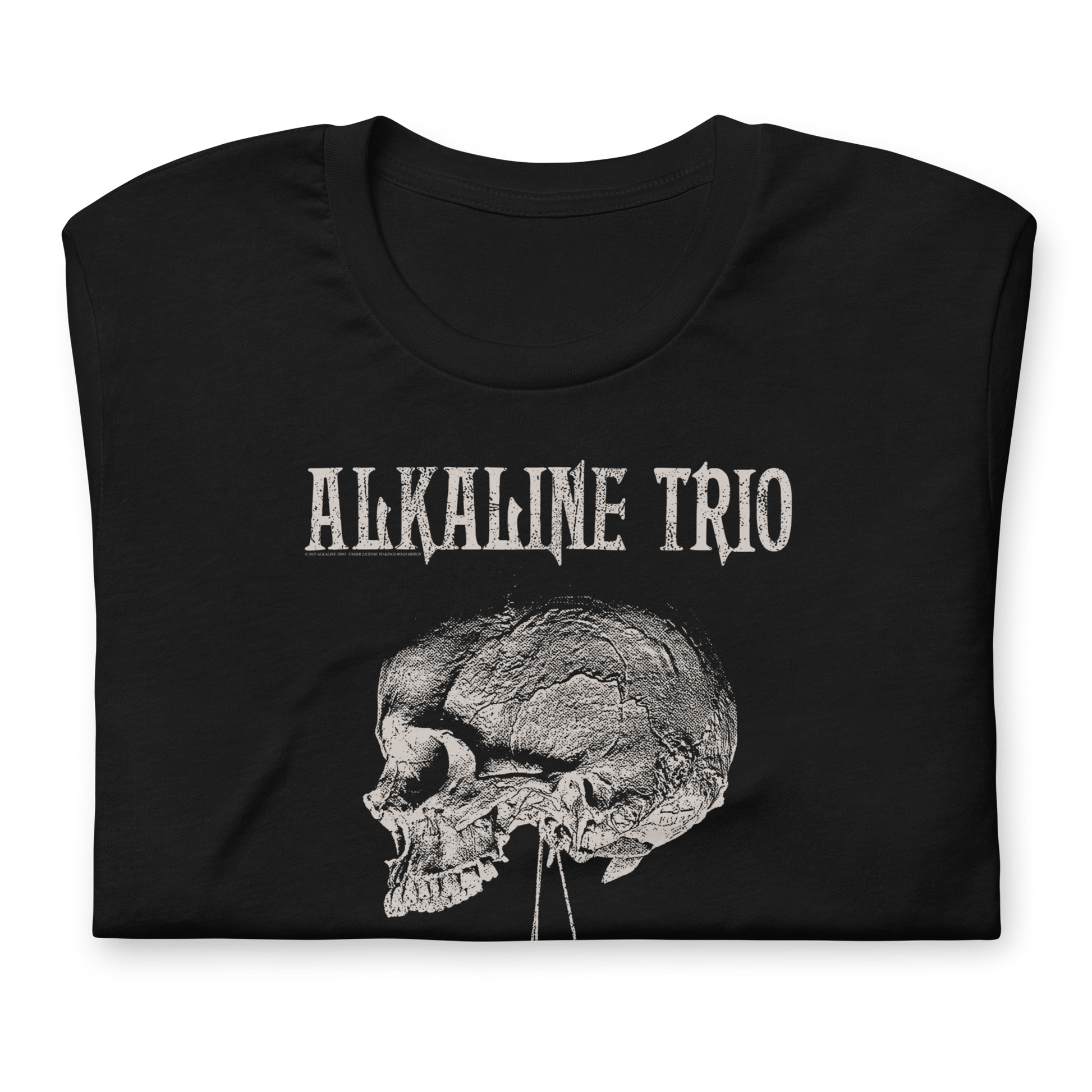 Alkaline Trio Alkaline Trio - Roses Blooming T-Shirt