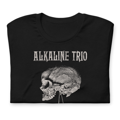 Alkaline Trio Alkaline Trio - Roses Blooming T-Shirt