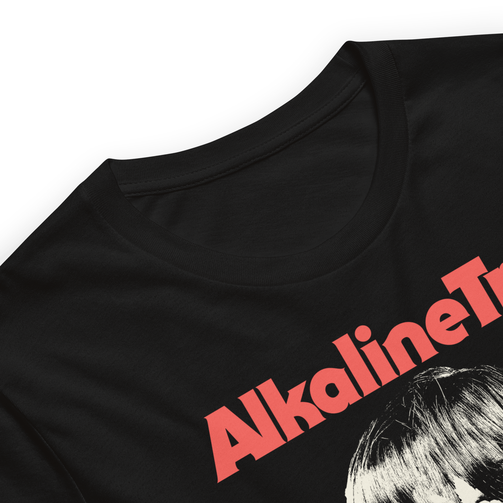 Alkaline Trio Alkaline Trio - Wig Skull T-Shirt