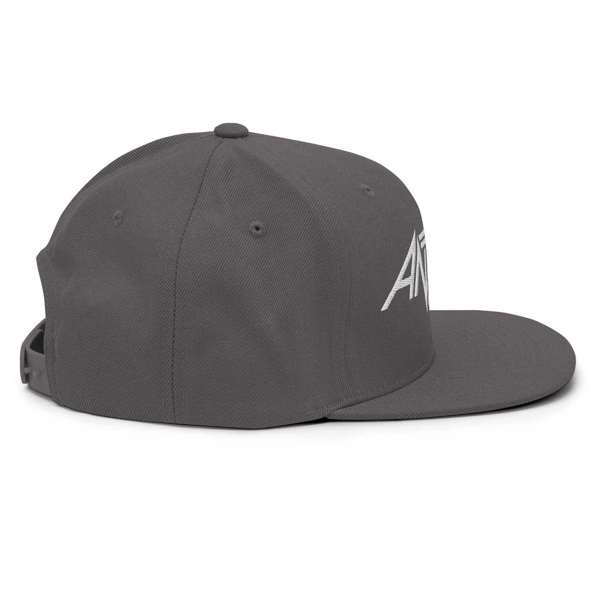 Anthrax Anthrax - White on Gray Snapback HD Embroidered Hat