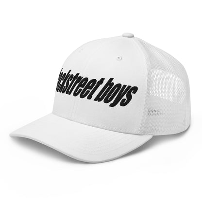Backstreet Boys Backstreet Boys - HD Embroidered Trucker Hat