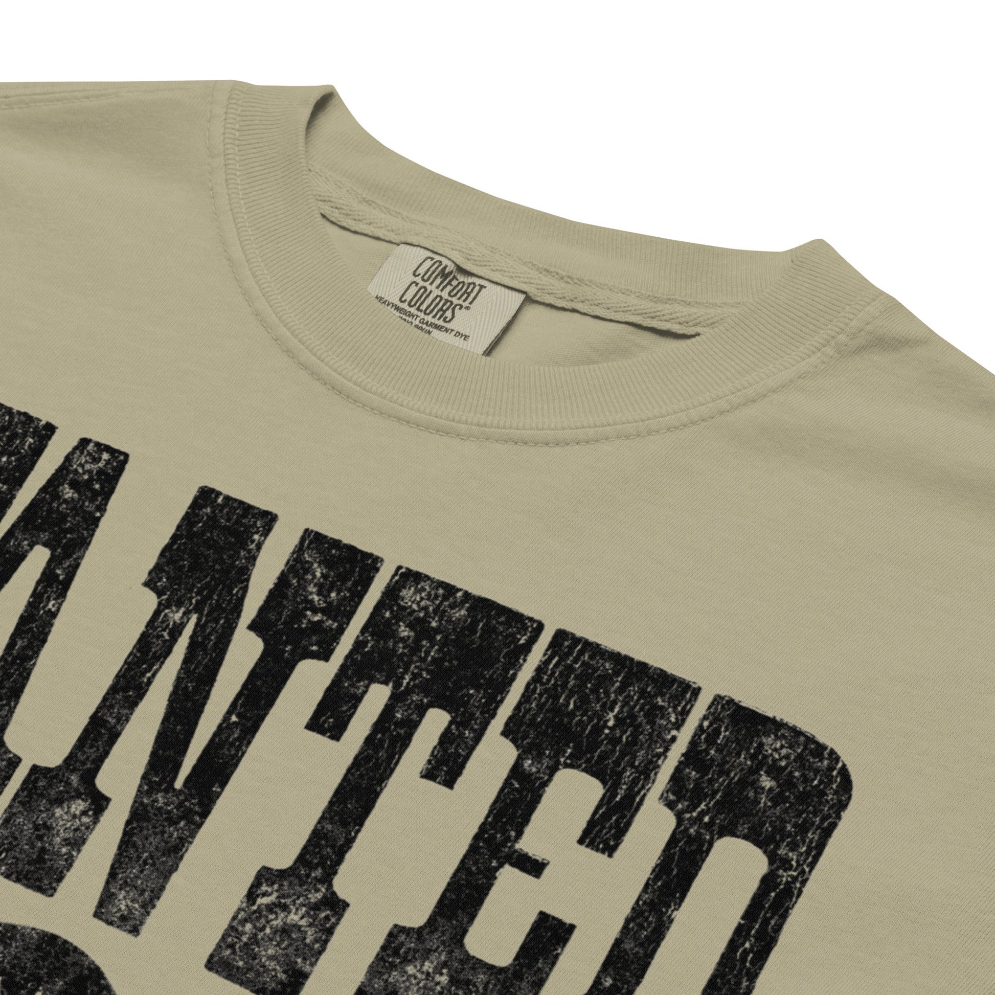 Rockabilia Backstreet Boys - Wanted Mineral Wash T-Shirt