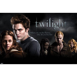 Twilight What Do You Live For? Domestic Poster
