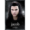 Jacob Domestic Poster