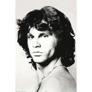 Doors Portrait Domestic Poster