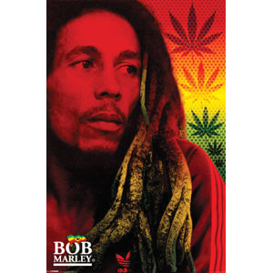 Bob Marley Dreads Domestic Poster
