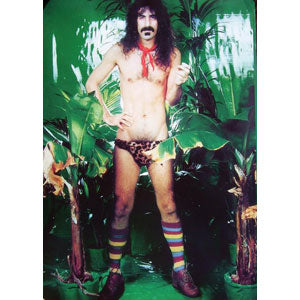 Frank Zappa Bikini Import Poster