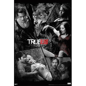 True Blood Shattered Mirror Domestic Poster