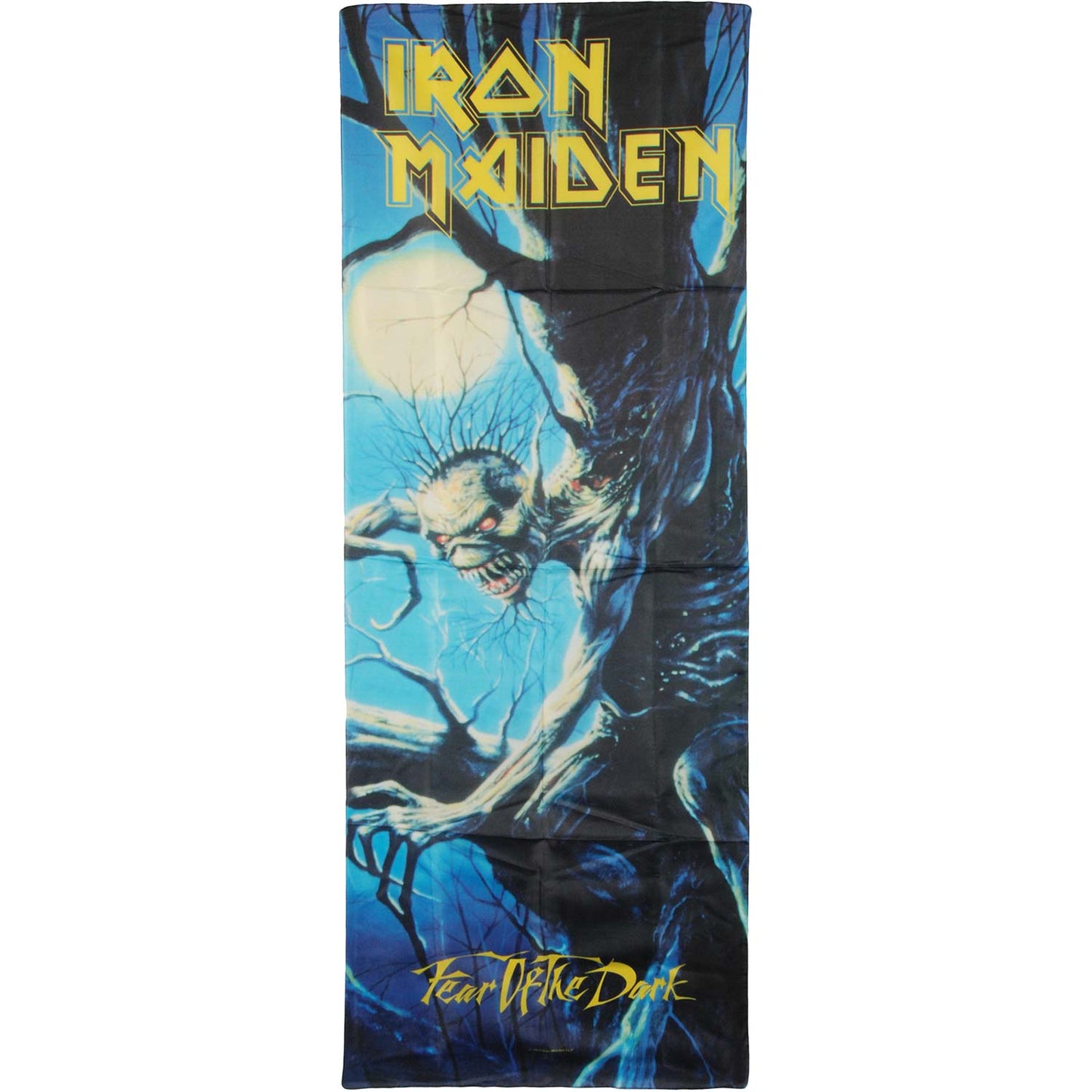 Iron Maiden Fear the Dark Door Flag