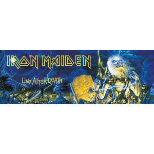 Iron Maiden Life After Death Door Flag