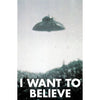 I Want To Believe Domestic Poster