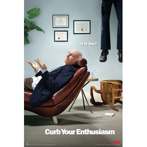 Curb Your Enthusiasm Is It Me? Domestic Poster