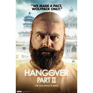 Hangover Alan Domestic Poster