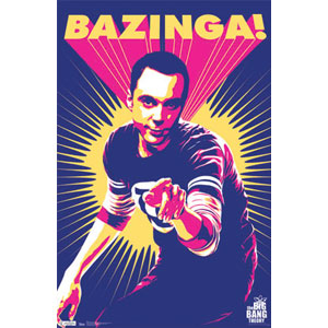 Big Bang Theory Sheldon Domestic Poster