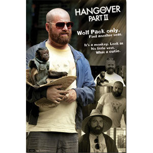 Hangover Alan And Monkey Domestic Poster