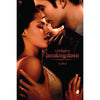 Edward And Bella Domestic Poster