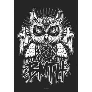 Owl Poster Flag