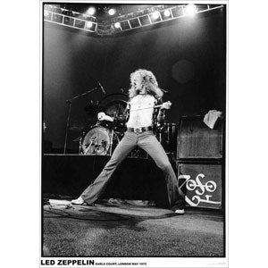 Led Zeppelin Robert Plant Import Poster