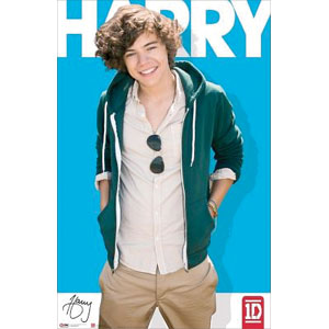 One Direction Harry Styles Domestic Poster