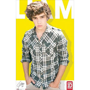 One Direction Liam Payne Domestic Poster