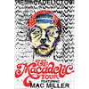 The Macadelic Tour Domestic Poster