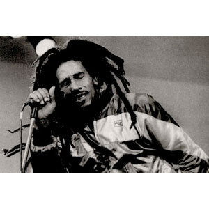 Bob Marley Singing Domestic Poster