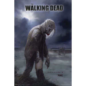Walking Dead Domestic Poster