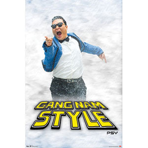 Psy Point Domestic Poster