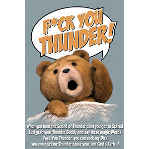 Ted F*ck You Domestic Poster