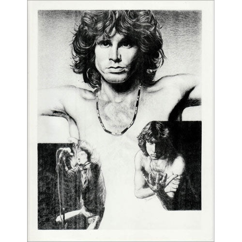 Doors Portrait Domestic Poster