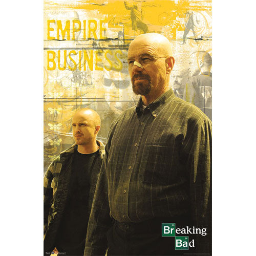 Breaking Bad Domestic Poster