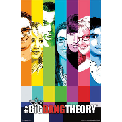 Big Bang Theory Domestic Poster
