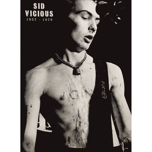 Sex Pistols Import Poster