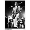 Pete Townsend Import Poster