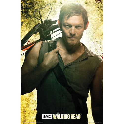 Walking Dead Daryl Domestic Poster