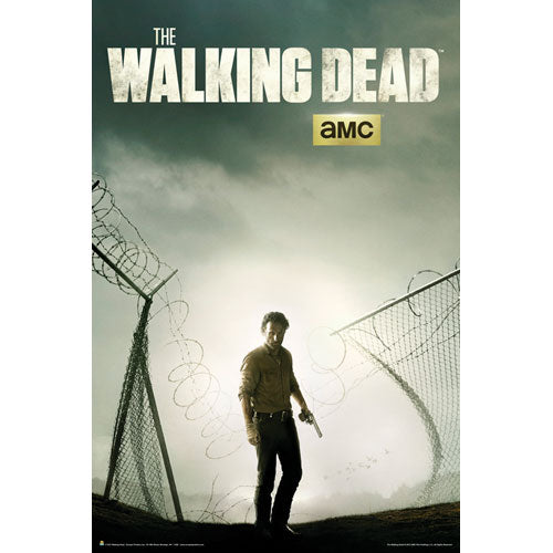 Walking Dead Domestic Poster