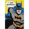 I Am Batman Domestic Poster