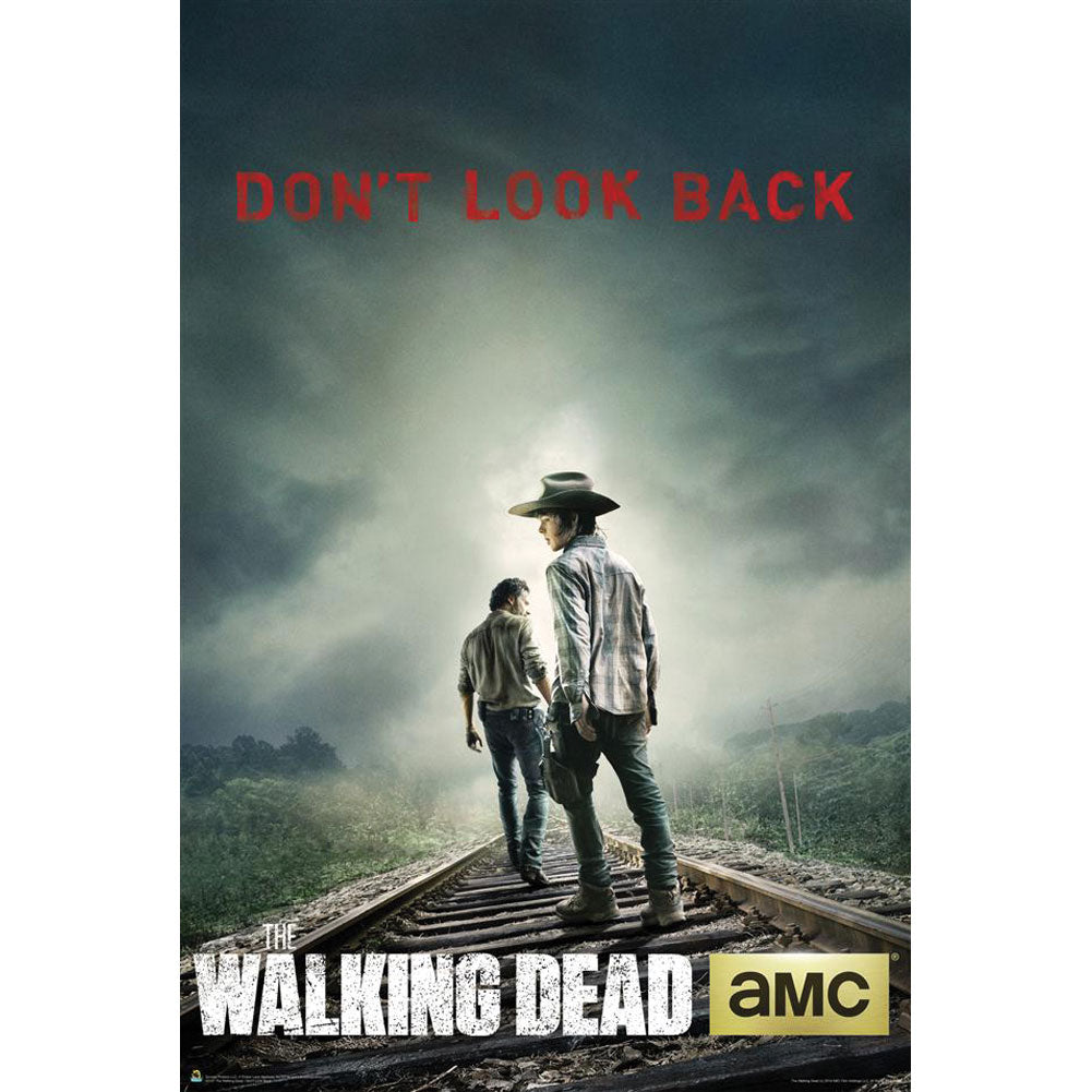 Walking Dead Domestic Poster