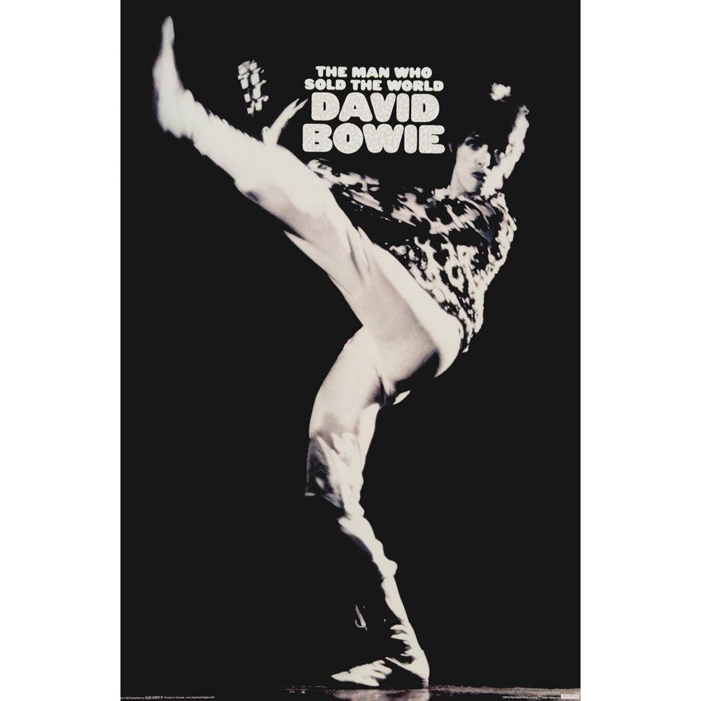 David Bowie David Bowie Man Who Sold The World Domestic Poster