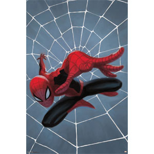 Spider-Man Minimalist Domestic Poster