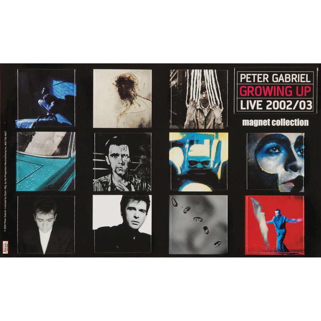 Peter Gabriel Sheet Magnet