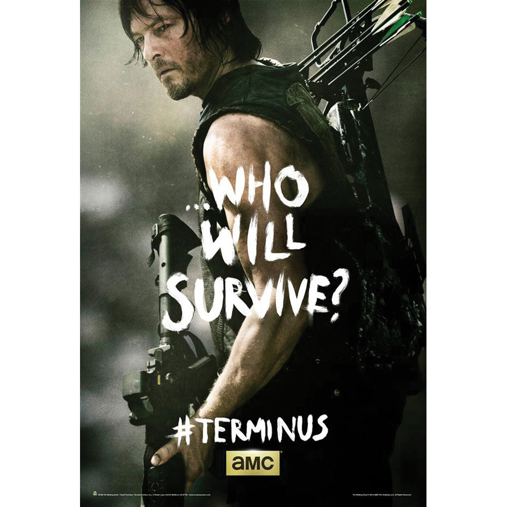 Walking Dead Terminus Daryl Domestic Poster