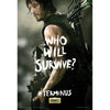 Terminus Daryl Domestic Poster