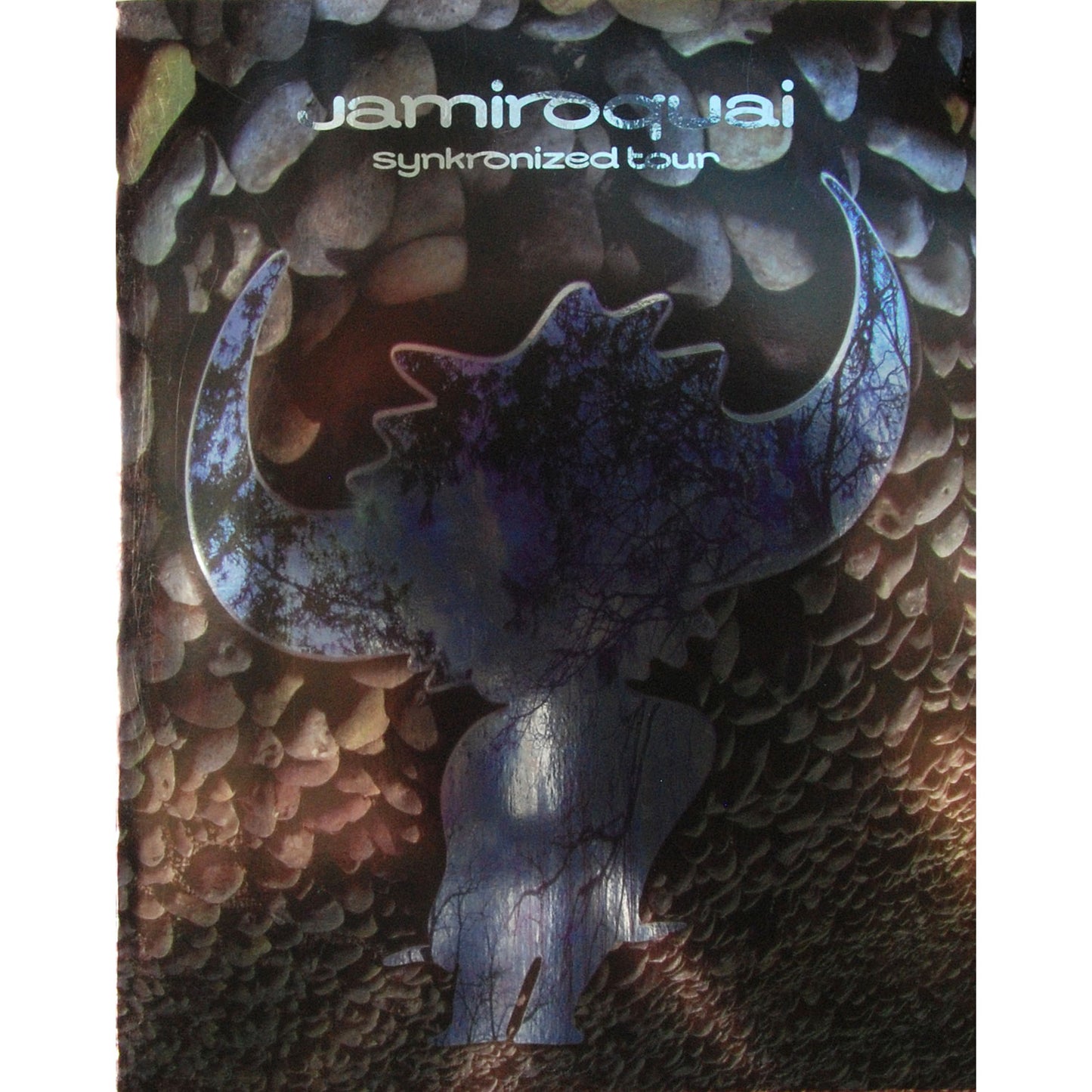 Synkronized Tour Book