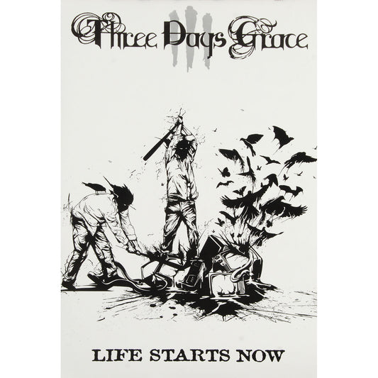 Three Days Grace Life Starts Now Domestic Poster