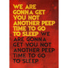 Sleep Domestic Poster