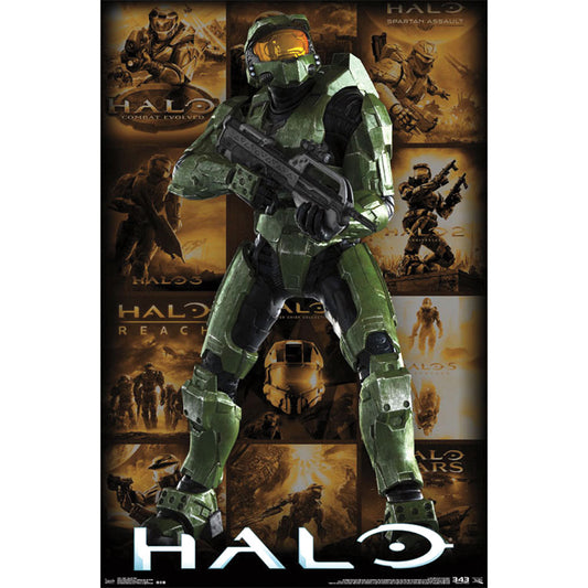 Halo Domestic Poster