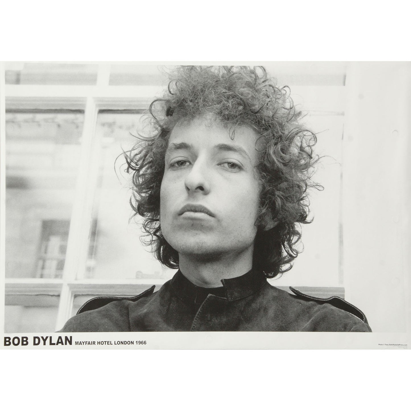 Bob Dylan Portrait Import Poster